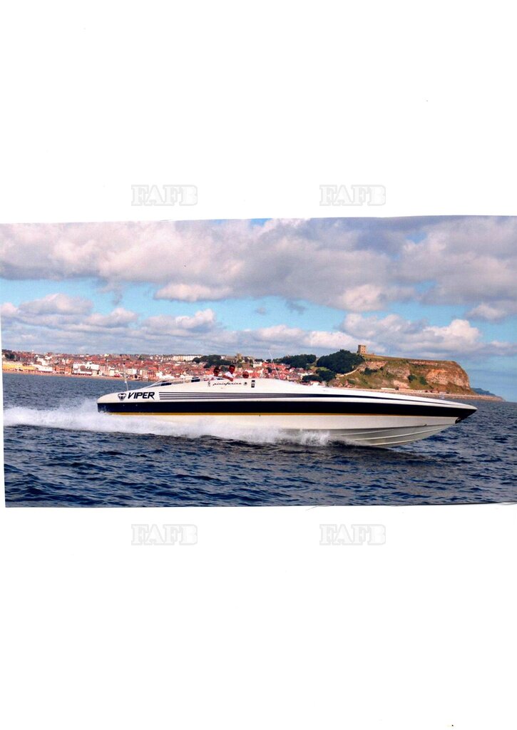 Commercial passenger speedboat