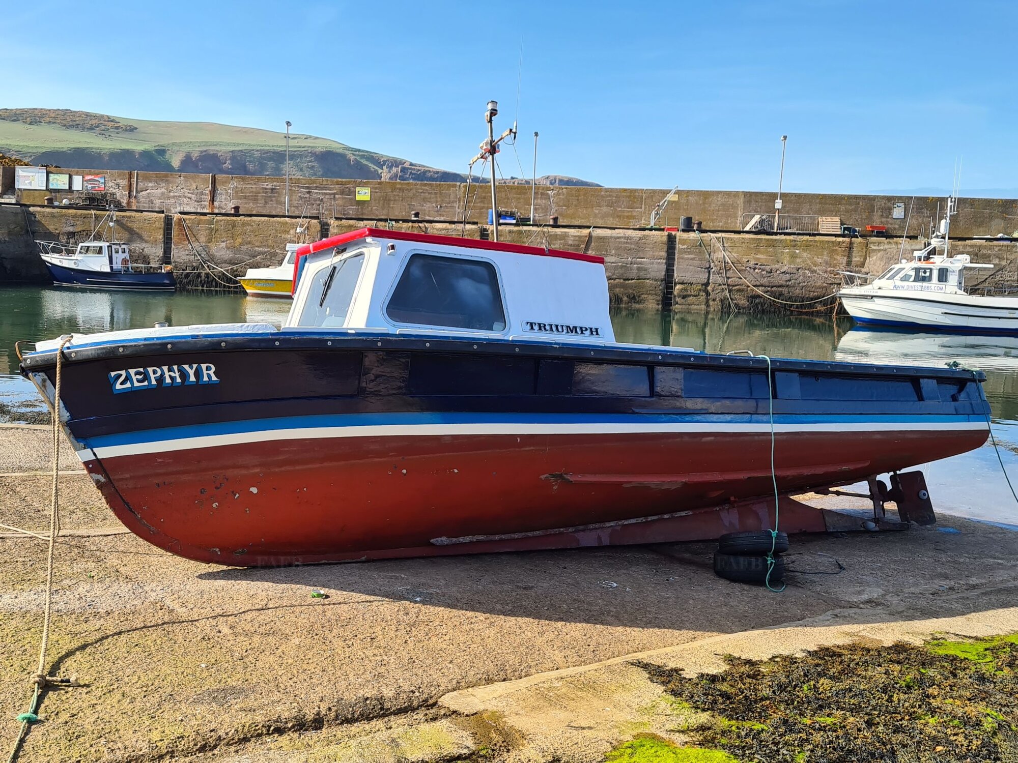 Large picture for advert 105107