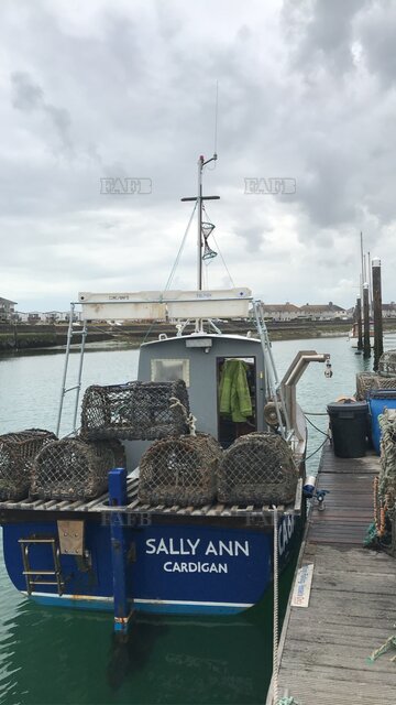 Large picture for advert 110307