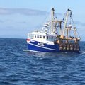 Extra picture for advert 103507