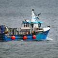 Extra picture for advert 128407