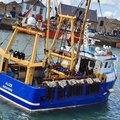 Extra picture for advert 103507